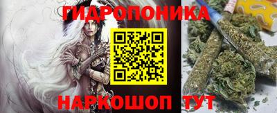 ГАЛЛЮЦИНОГЕННЫЕ ГРИБЫ Камышлов